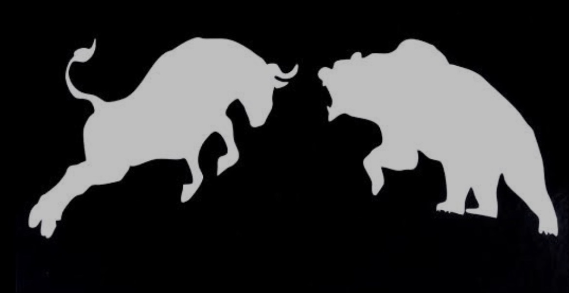 Bull and bear — enqiva Capital
